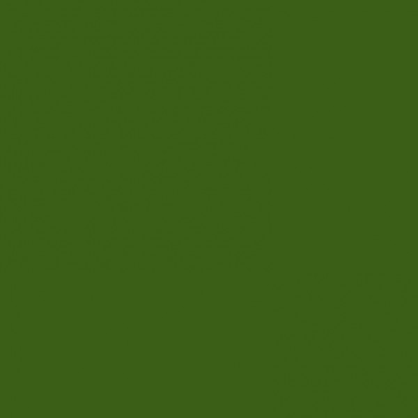 Wachsplatten - laubgrün 10 Stück Packung